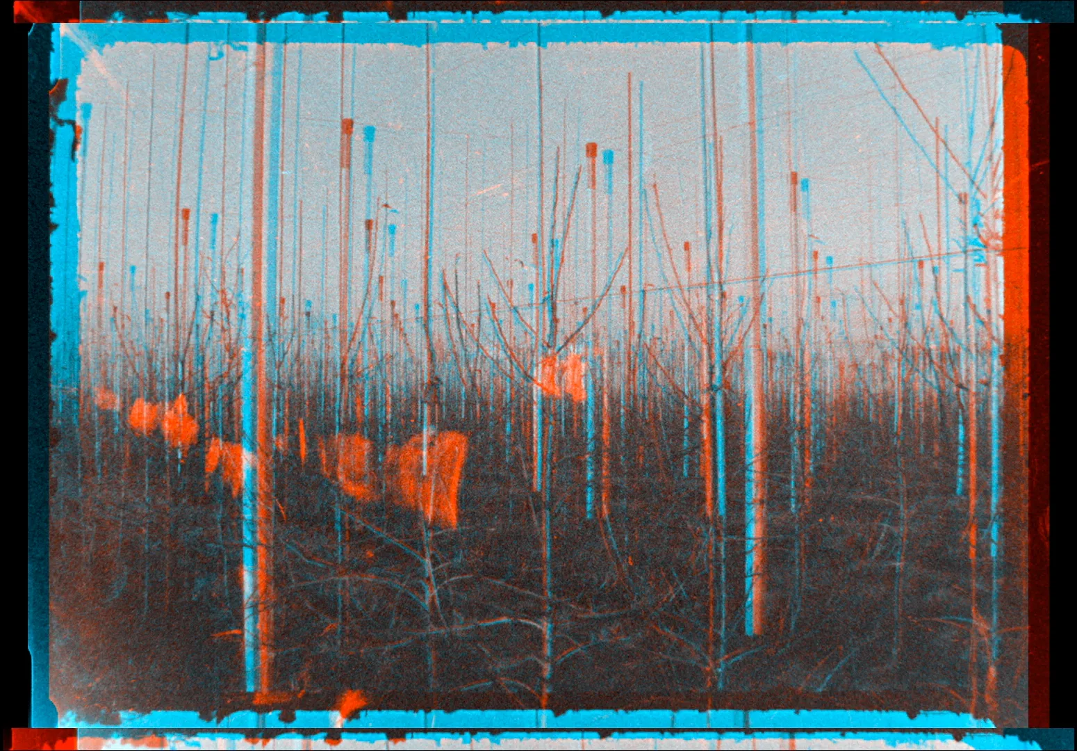 Chaussee de l'amour 2